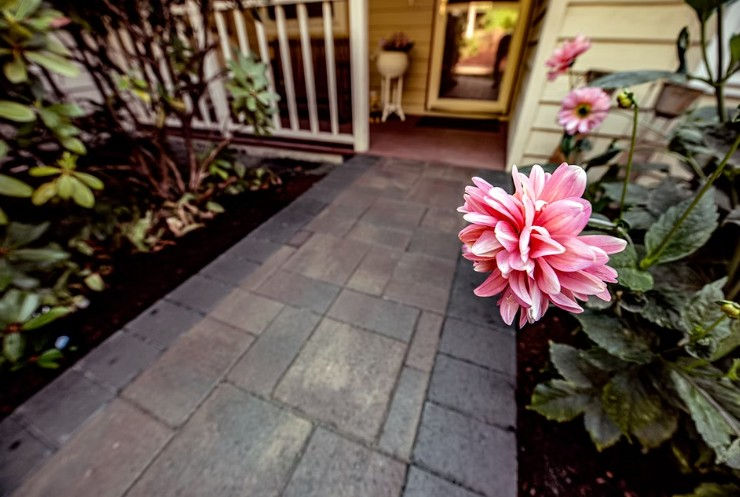 10 Benefits of Native Plants in Landscaping