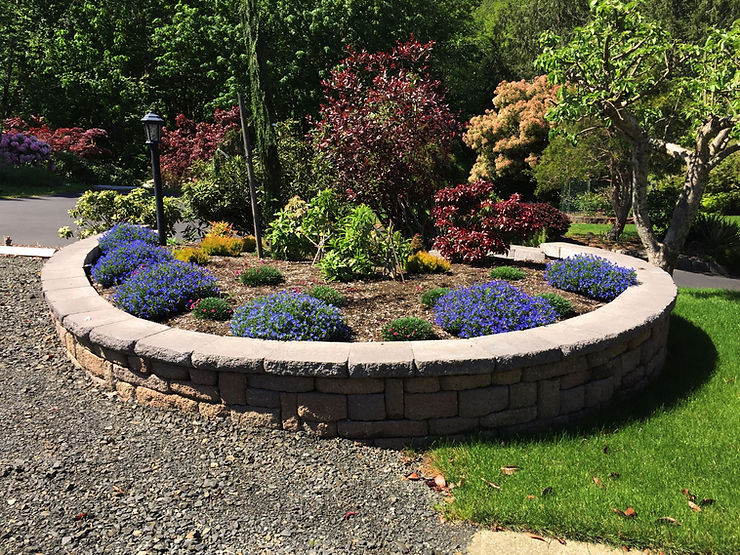 Native Plants and Stunning Foliage for Washington Yards
