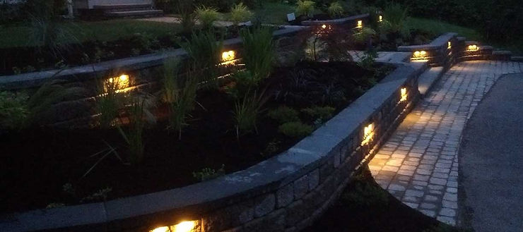 Transform Your Landscape with Night Lighting
