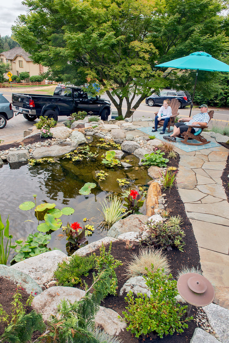 How to Choose the Perfect Water Feature for Your Backyard: From Zen Fountains to Wow-Factor Waterfalls