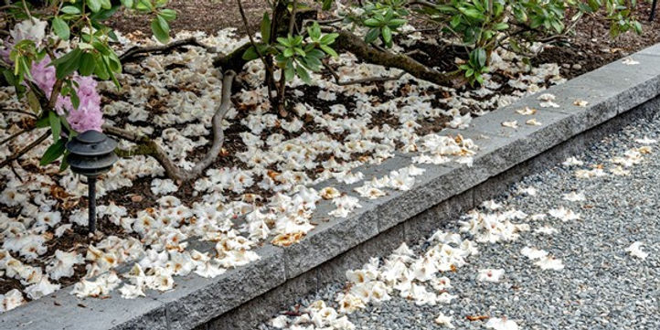 Top Outdoor Living Trends Homeowners Are Loving in 2026