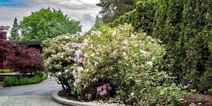 From Concept to Reality: The Cost and Timeline of a Full Landscape Project