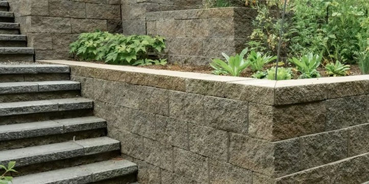 Landscape Renovation vs New Installation: What’s Right for You?